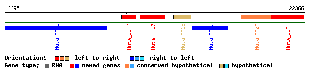 gene map