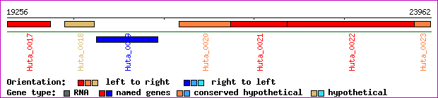 gene map