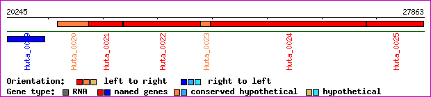 gene map