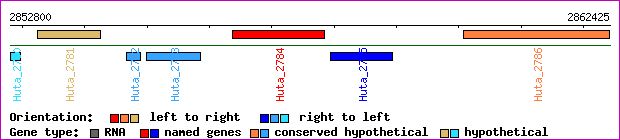 gene map