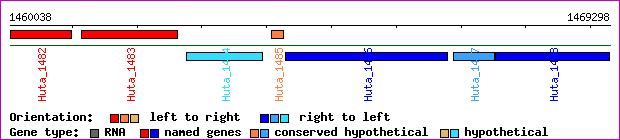 gene map