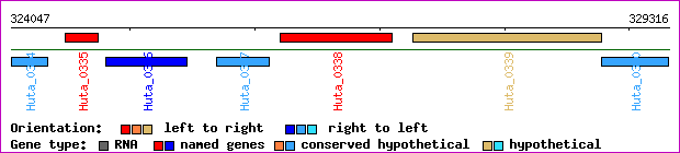 gene map