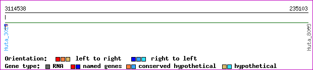 gene map