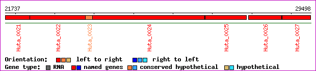 gene map
