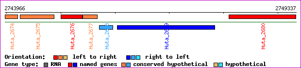 gene map
