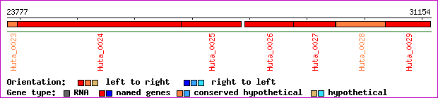 gene map