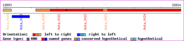 gene map