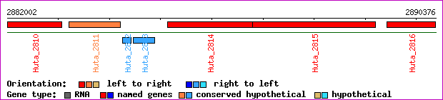 gene map