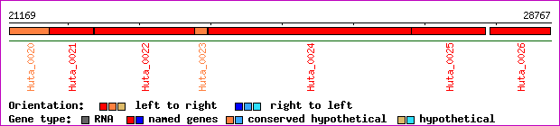 gene map