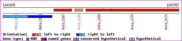 gene map