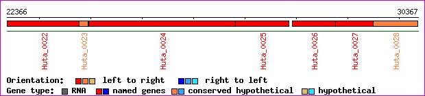 gene map