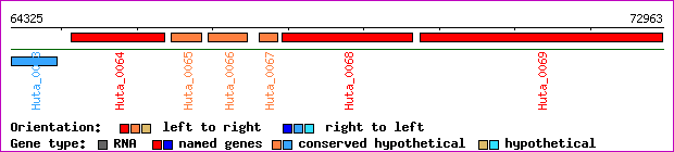 gene map