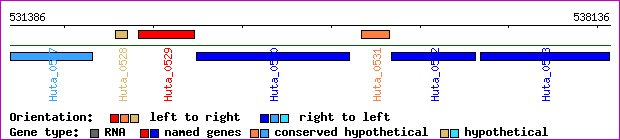 gene map