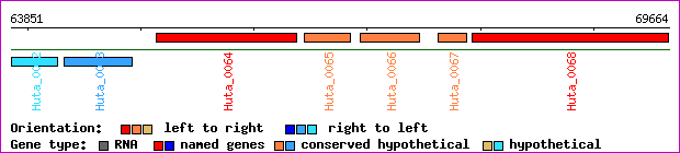 gene map