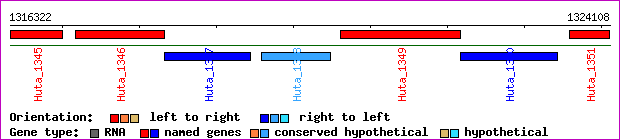 gene map