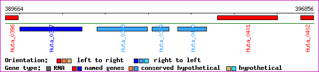 gene map