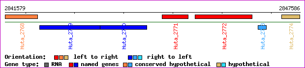 gene map