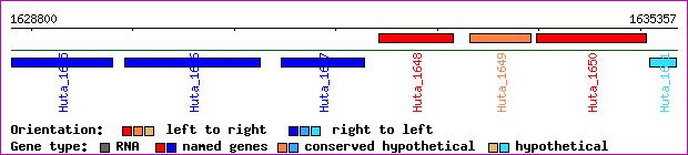 gene map