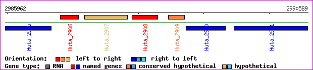 gene map