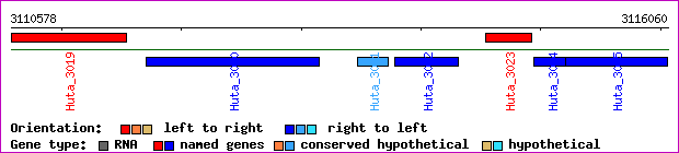 gene map