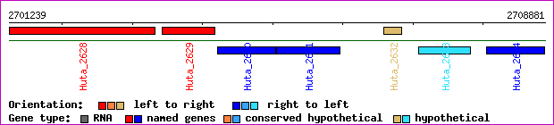 gene map