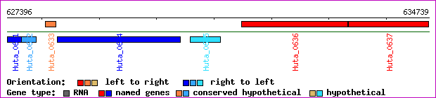 gene map