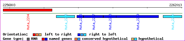 gene map