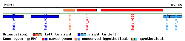 gene map