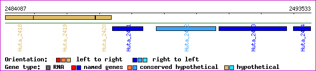 gene map