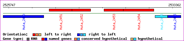 gene map