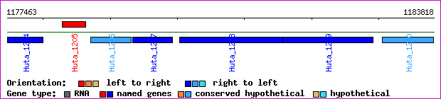 gene map