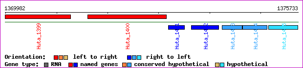 gene map