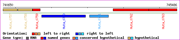 gene map