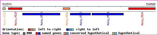 gene map