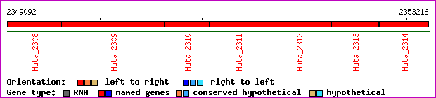 gene map