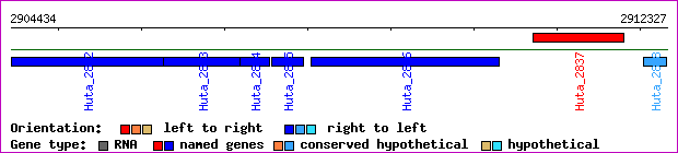 gene map