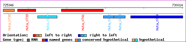gene map