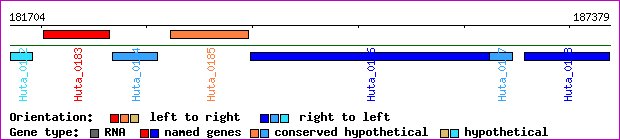 gene map