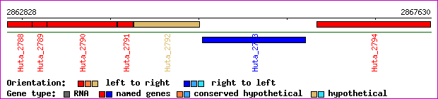 gene map