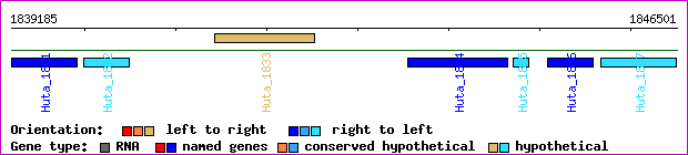 gene map