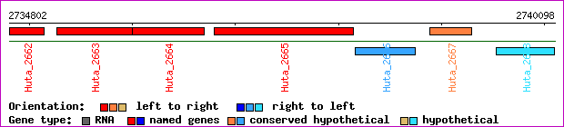gene map
