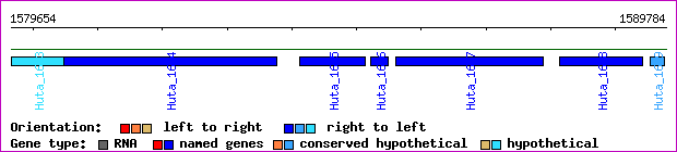 gene map