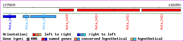 gene map