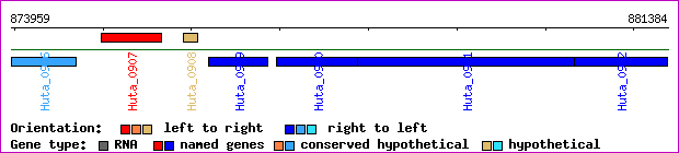gene map