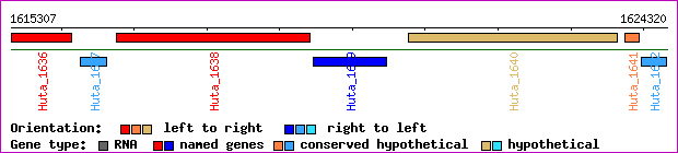 gene map