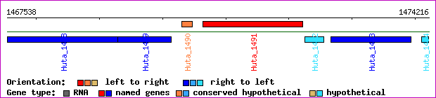 gene map
