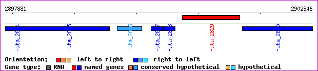 gene map