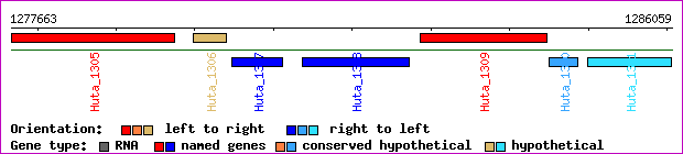 gene map