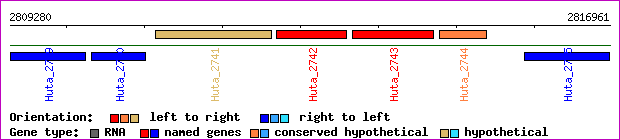 gene map