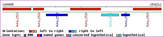 gene map